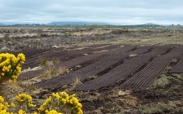 All You Need To Know About Irish Turf