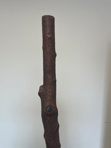 Irish Blackthorn Stick7
