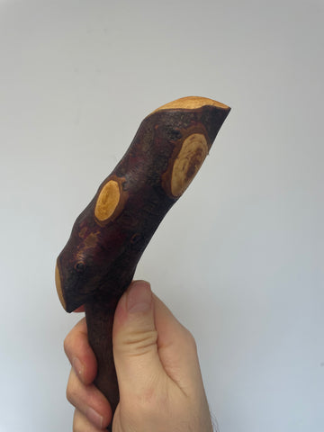 Irish Blackthorn Stick