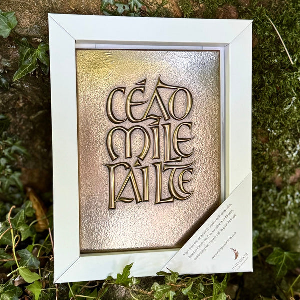 Céad Míle Fáilte! ☘️