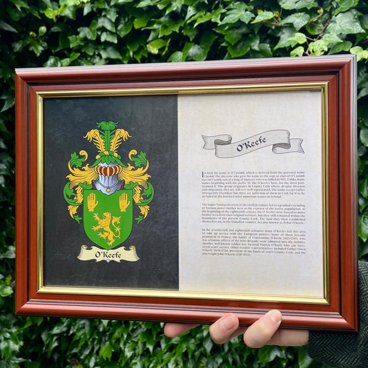 Framed Family Coat Of Arms and Family History