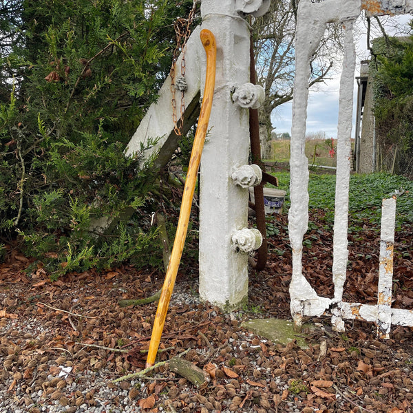 Light Irish Hazel Stick