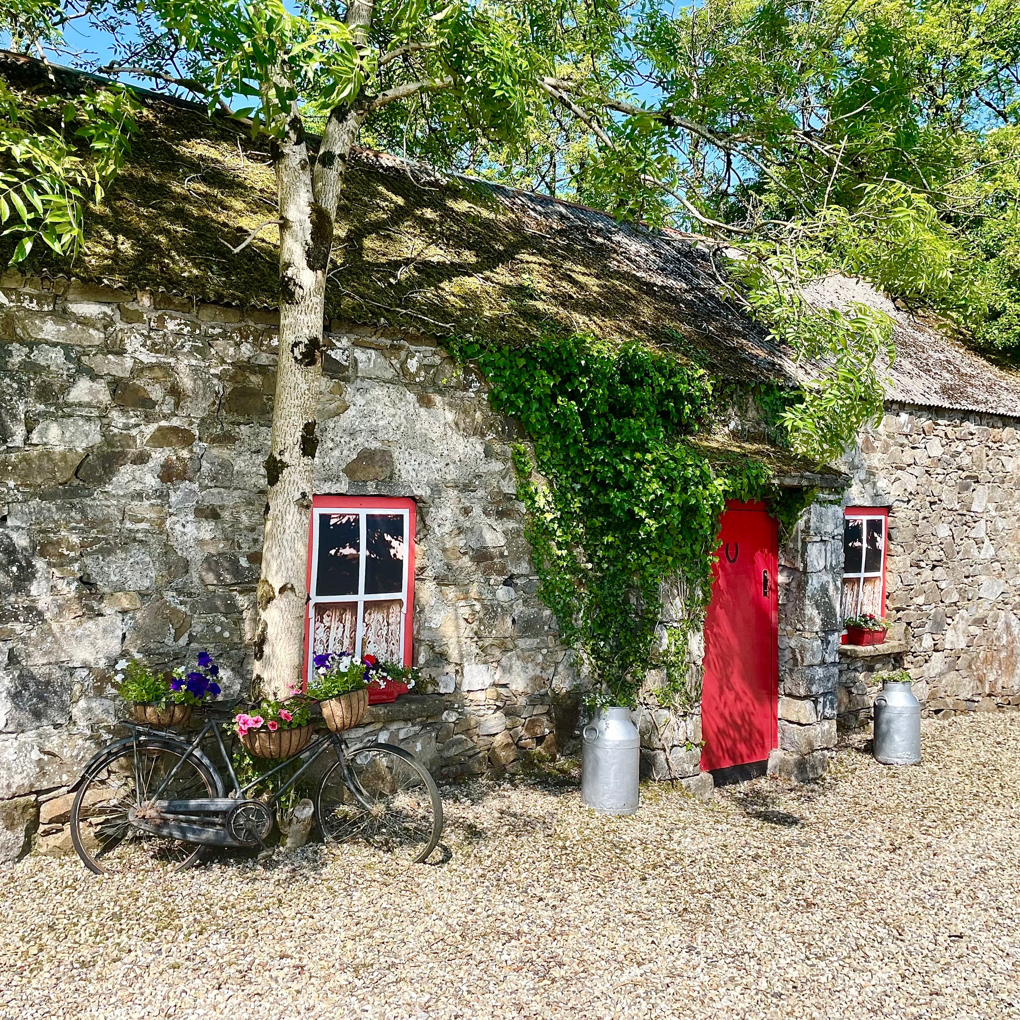 Lee's Cottage: A Hidden Gem in Cavan