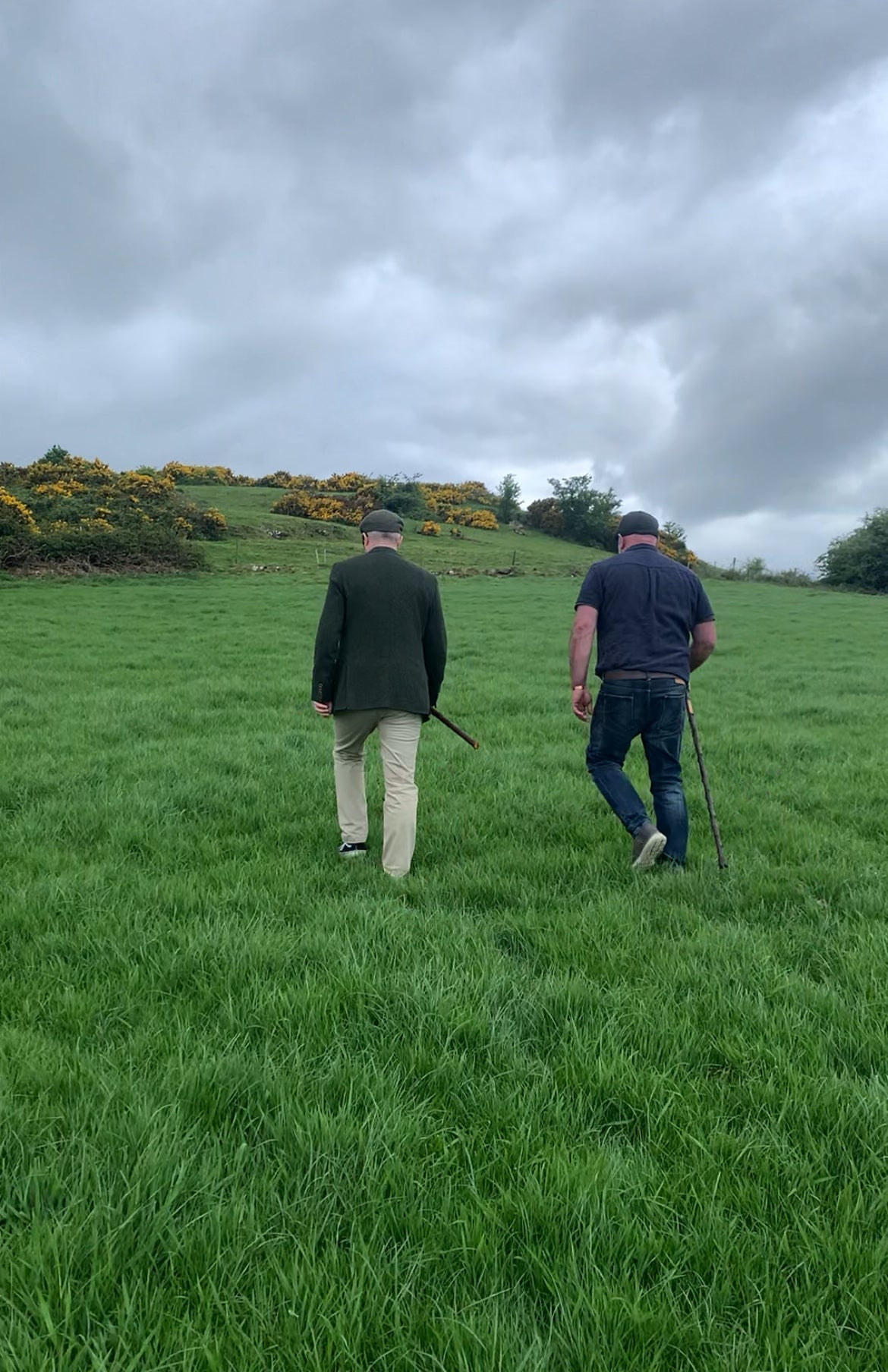 My Visit to Croghan Hill: A Walk with a Shillelagh Through Ireland’s Ancient Heart