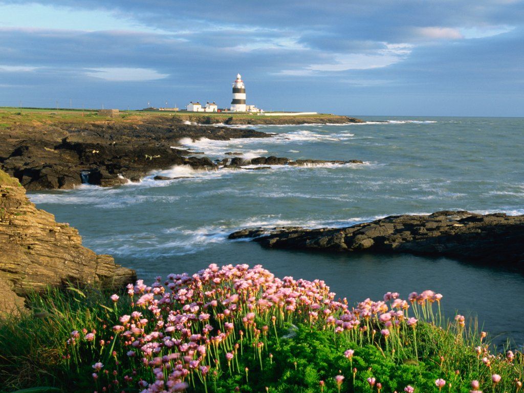 Top 5 best things to do in County Wexford, Ireland