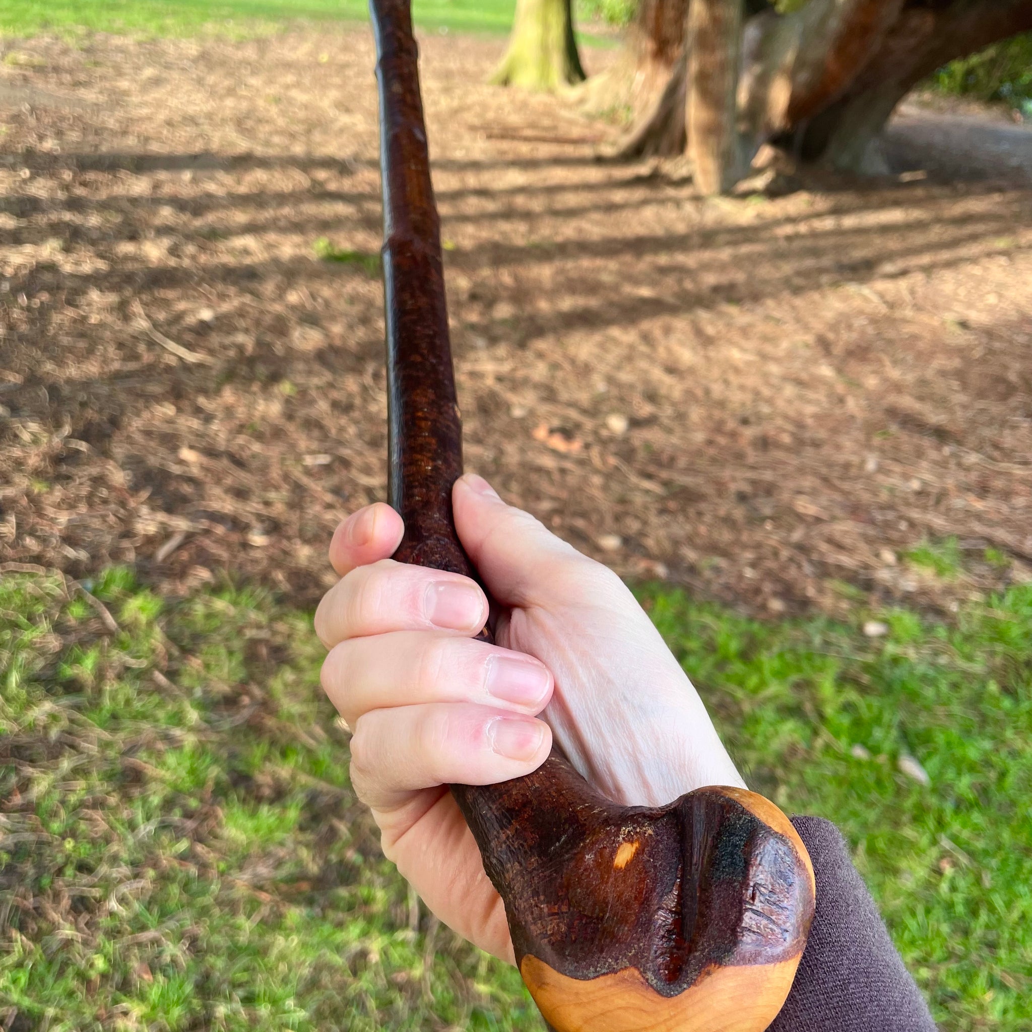 Blackthorn Irish Walking Stick Shillelagh