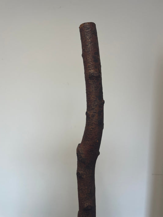 Irish Blackthorn Stick7
