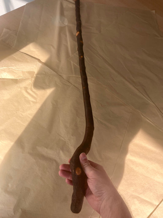Irish Blackthorn Stick