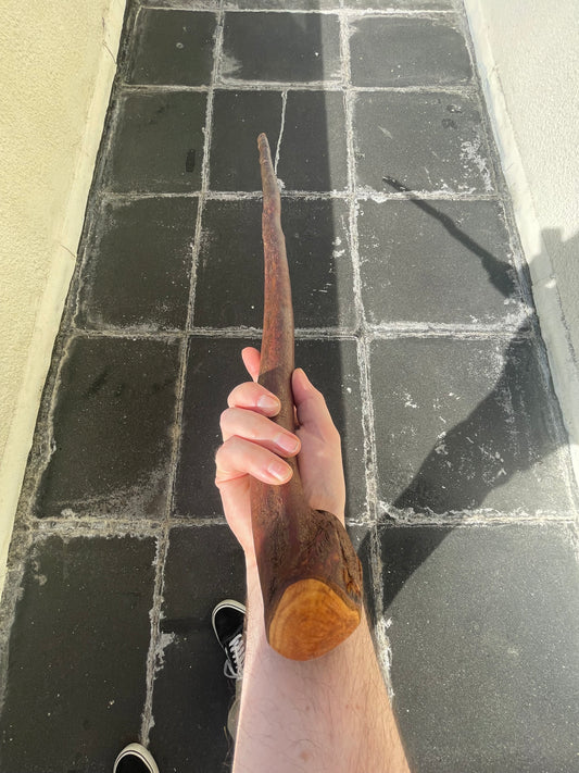 Irish Blackthorn Stick6