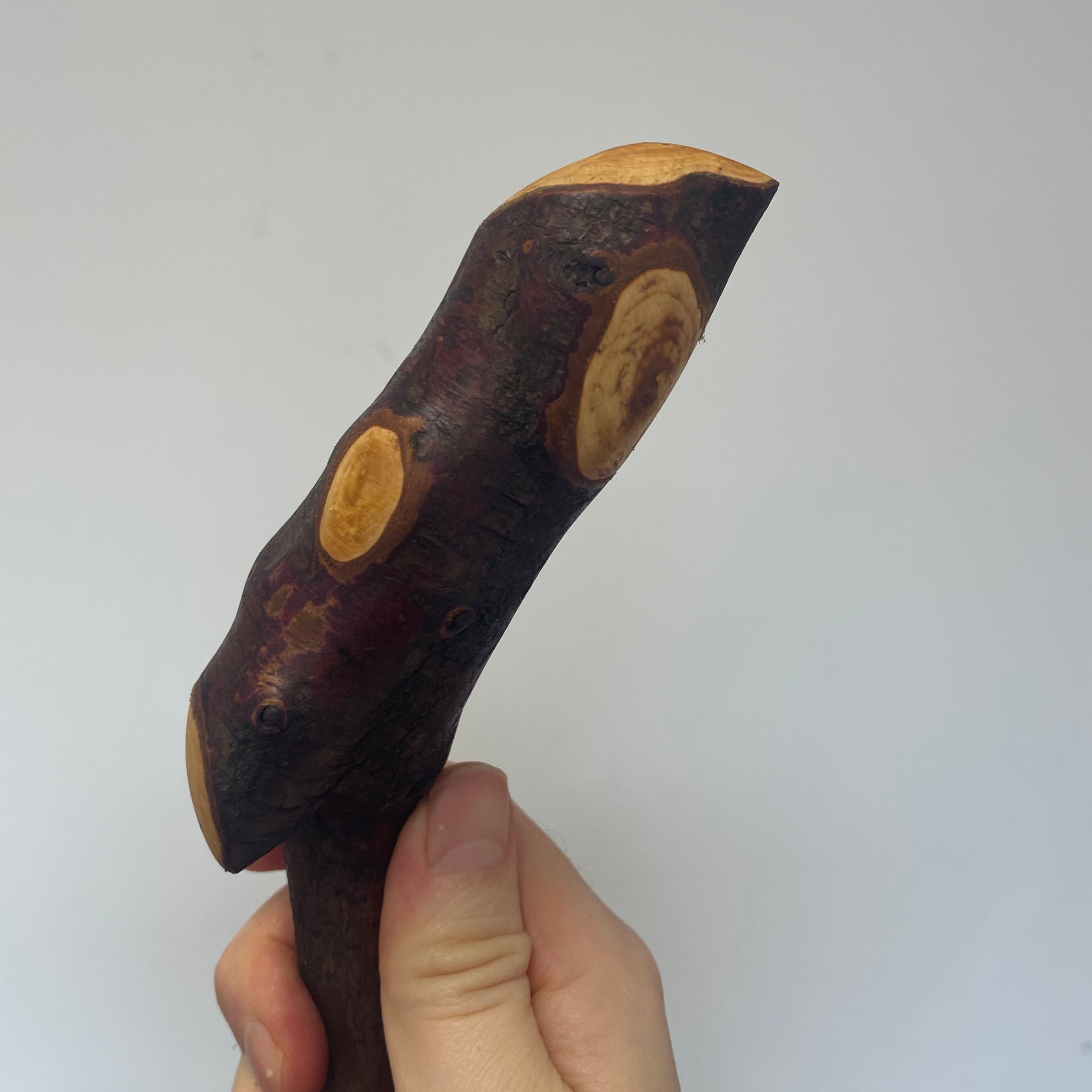 Irish Blackthorn Stick