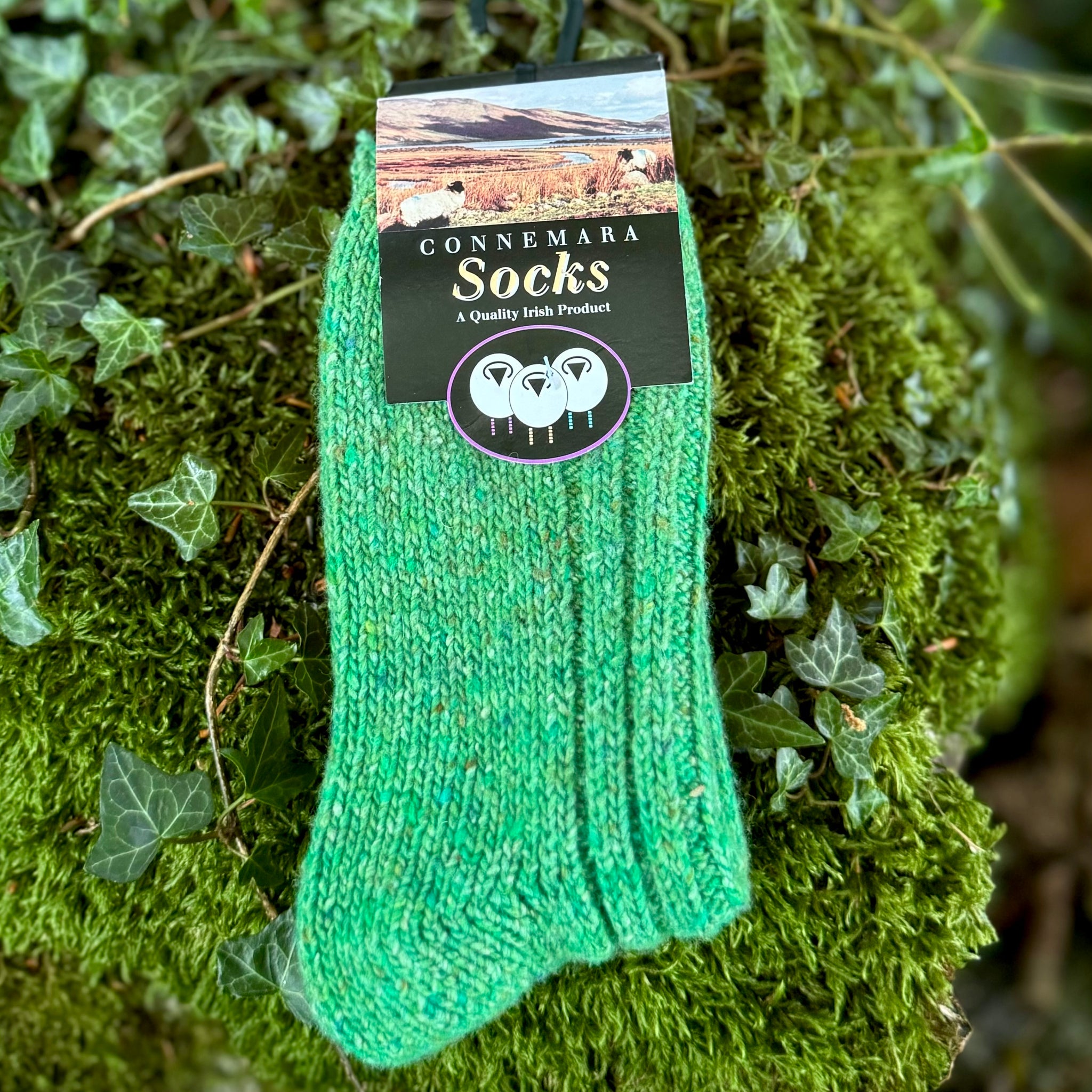 Connemara Wool Socks - Green