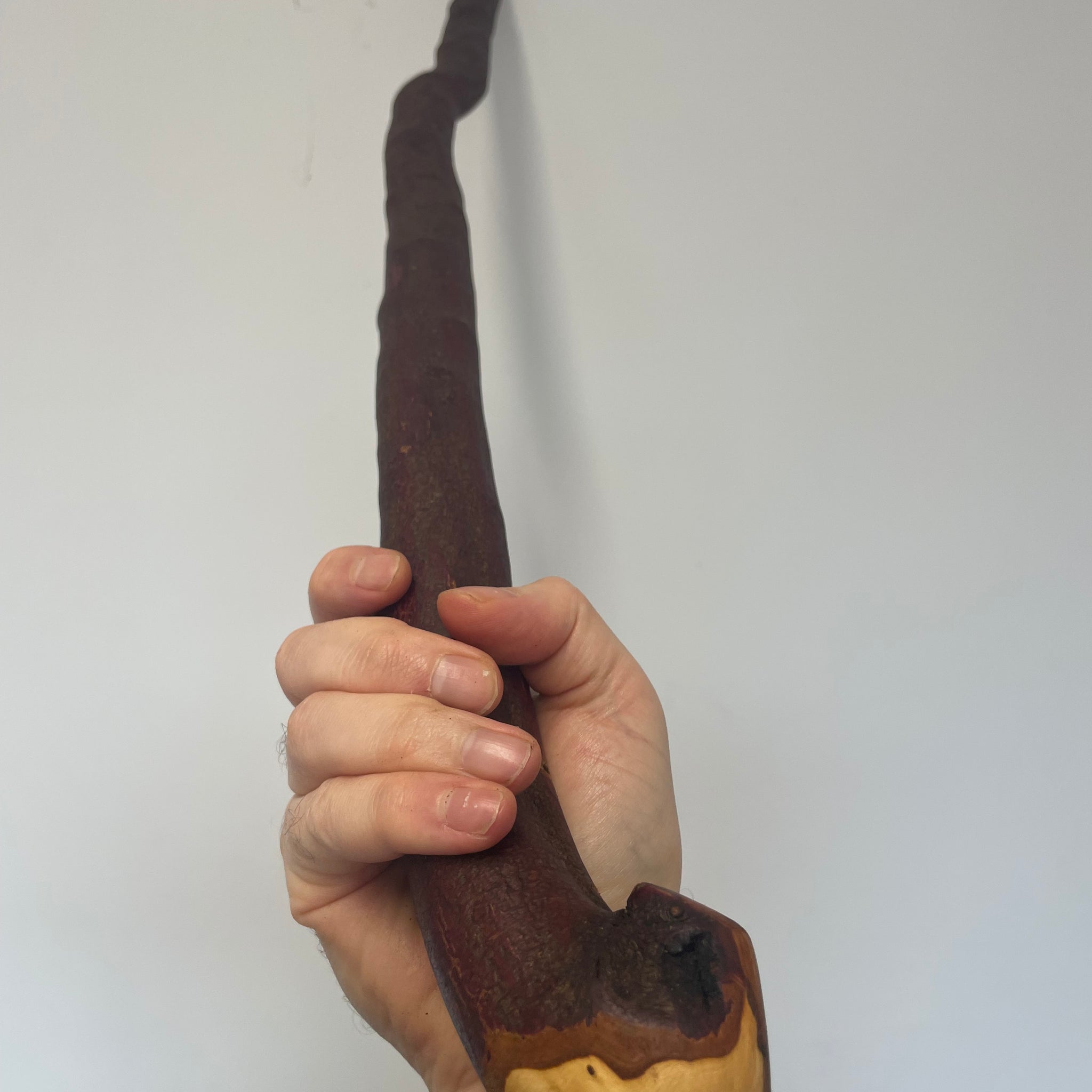 Irish Blackthorn Stick4