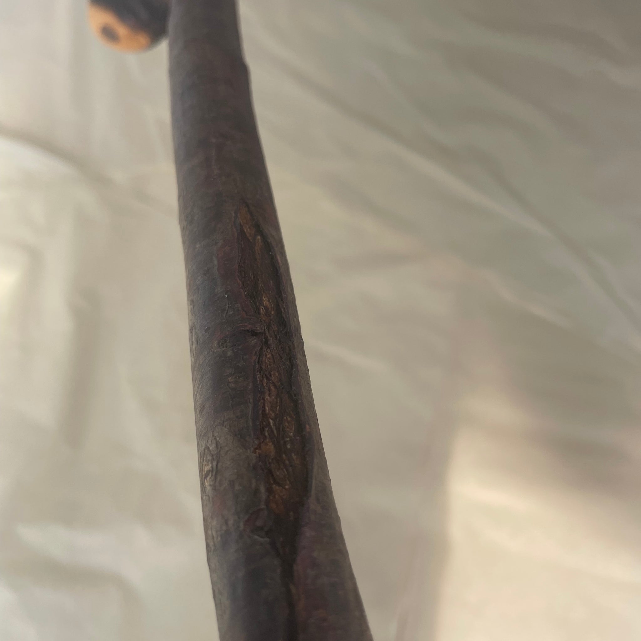 Irish Blackthorn Stick9