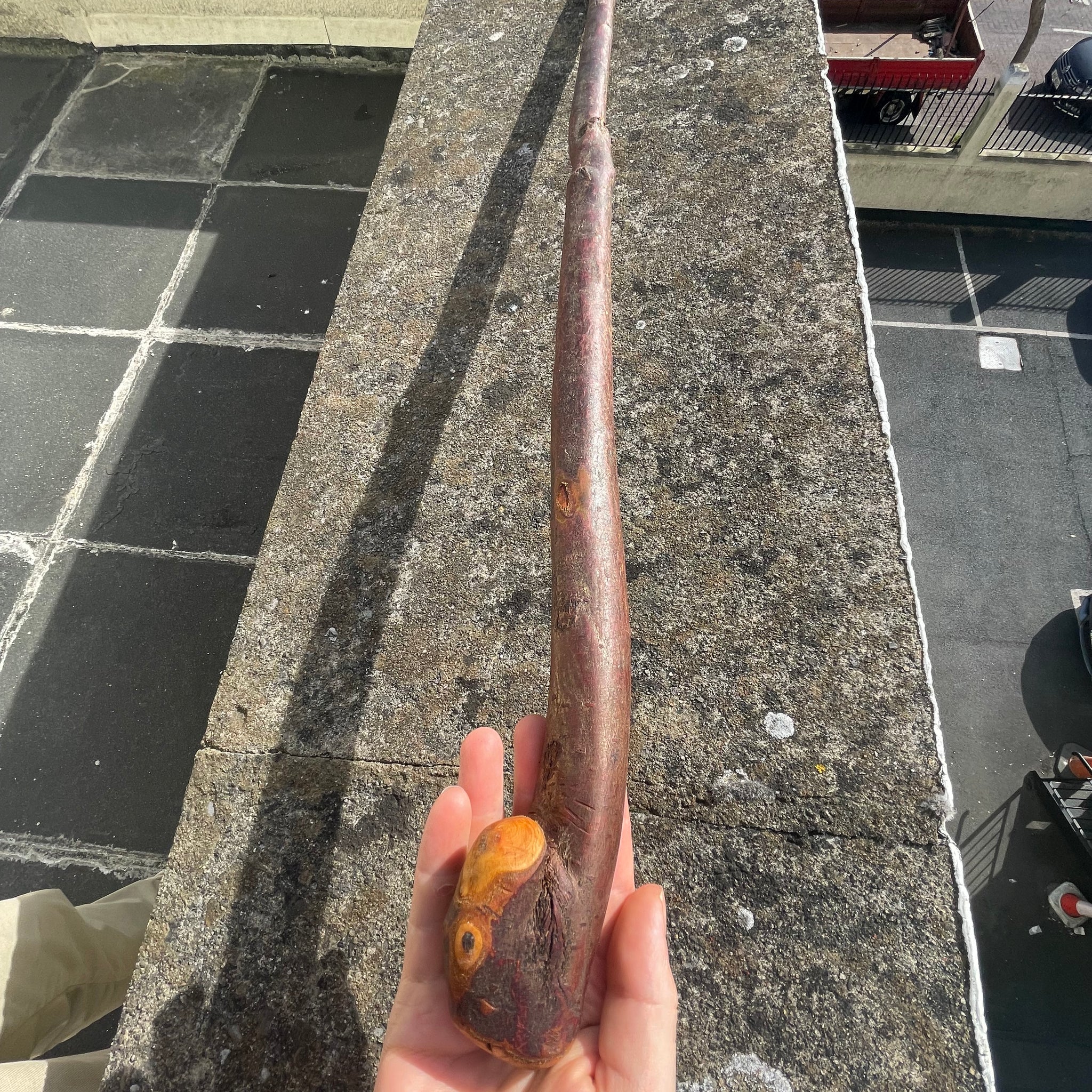Irish Blackthorn Stick6