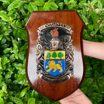 Coat of Arms Single Family Crest Shield - Large (14” x 10”)