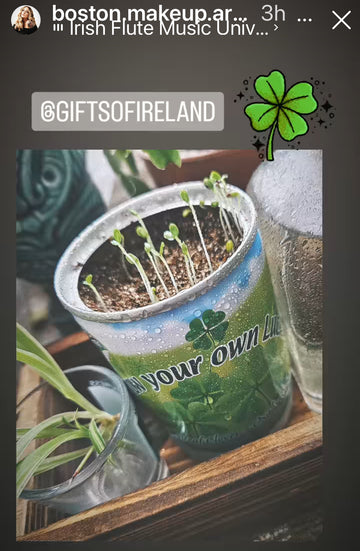 St. Patricks's Grow Your Own Luck Plant Kit