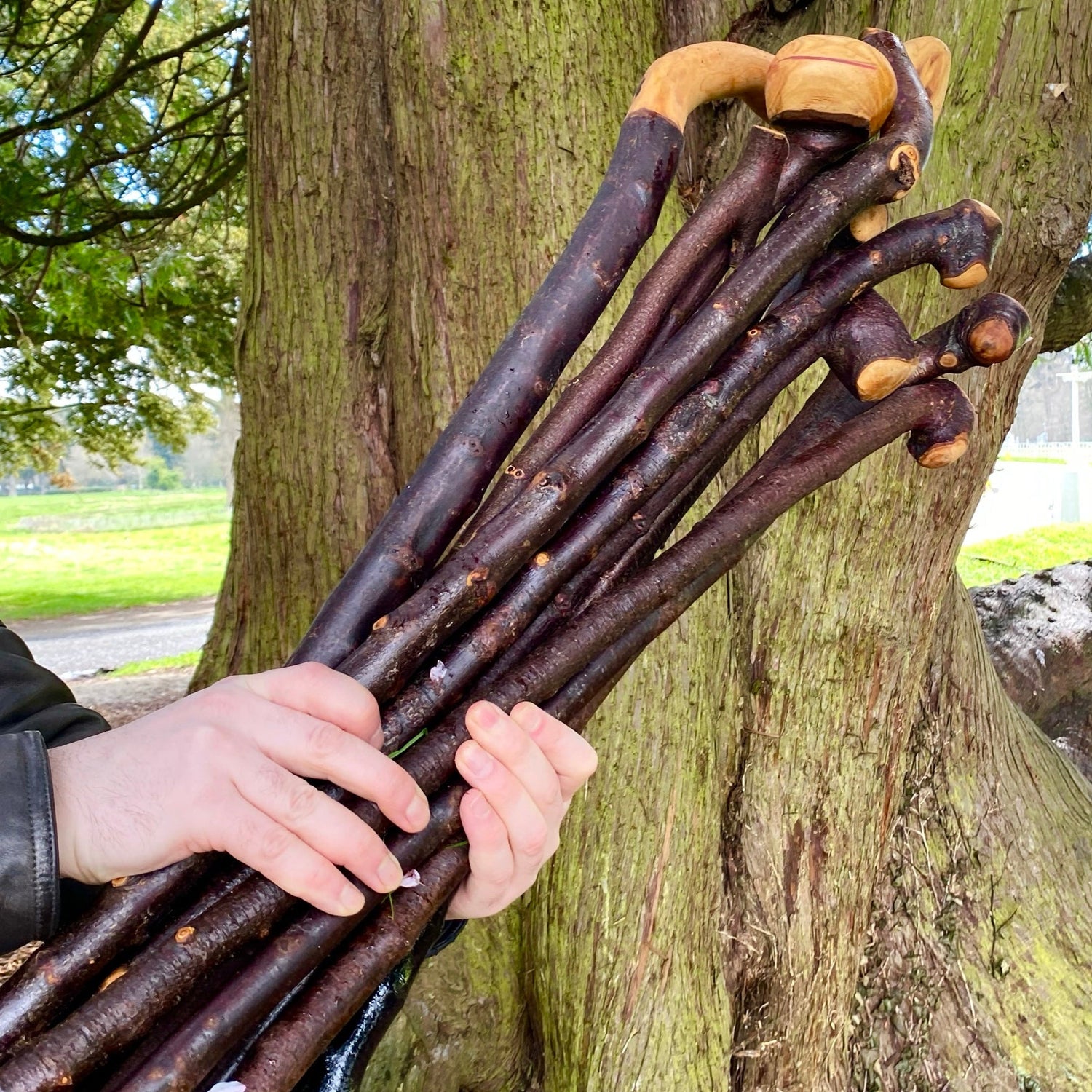 Irish Blackthorn Walking Stick Shillelagh