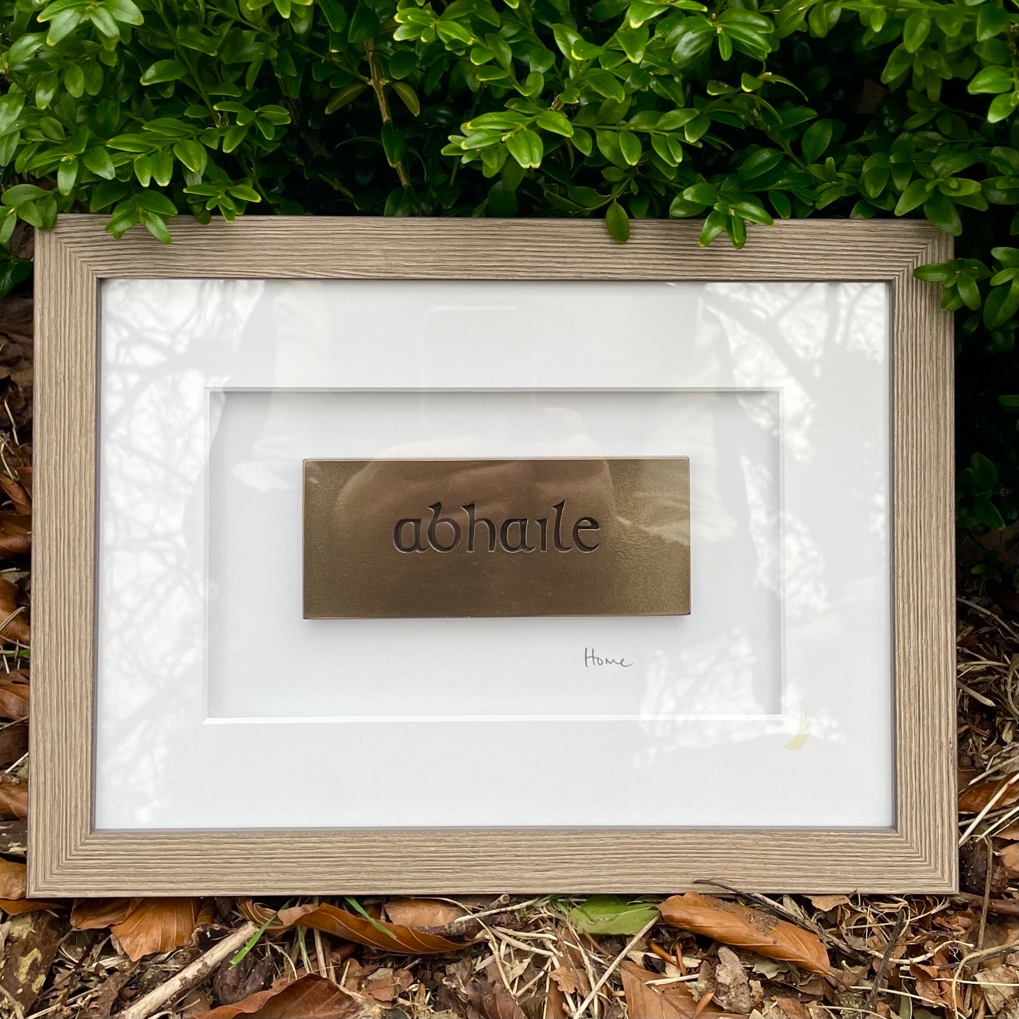 Wild Goose Abhaile (Home) Framed Wall Plaque