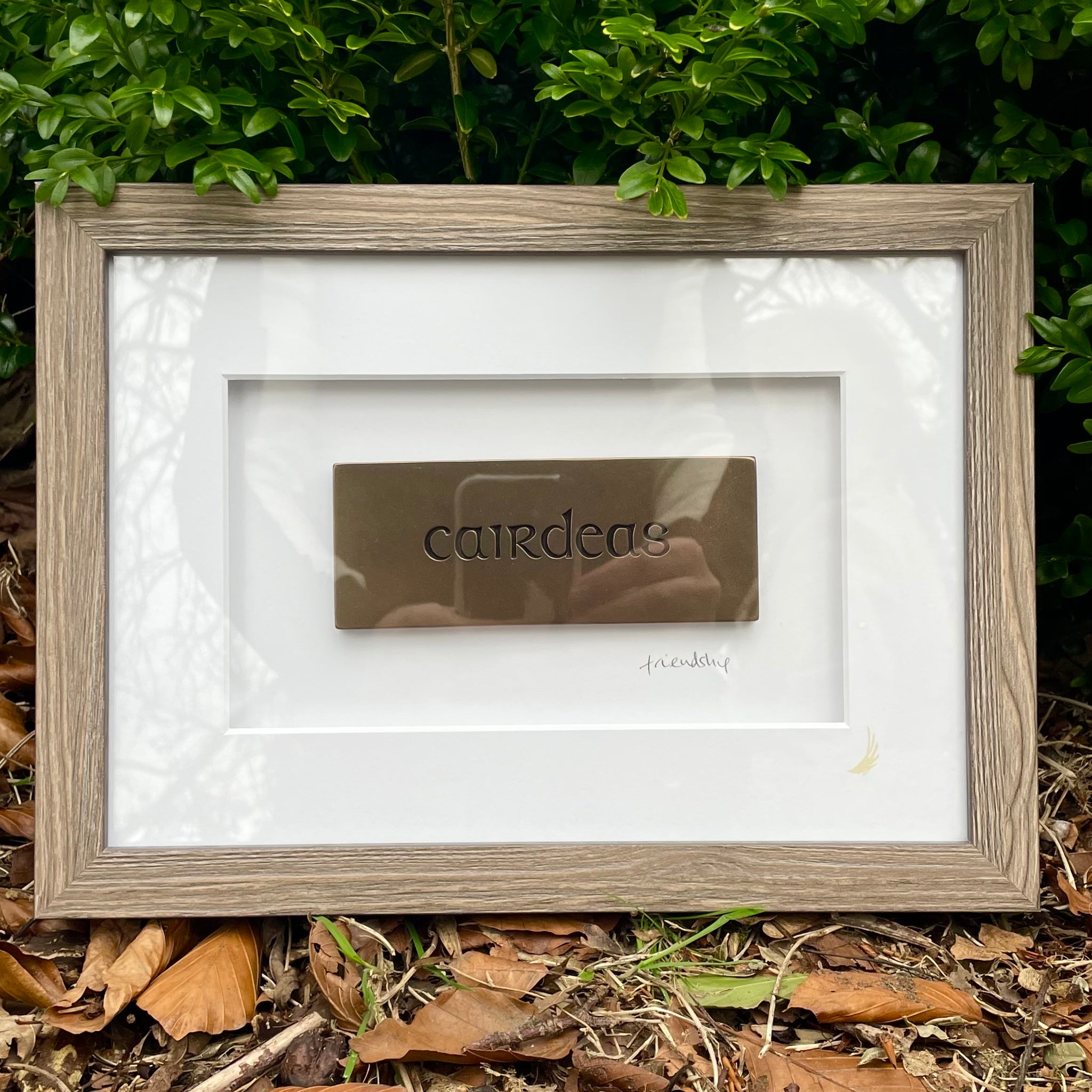 Wild Goose Cairdeas (Friendship) Framed Wall Plaque