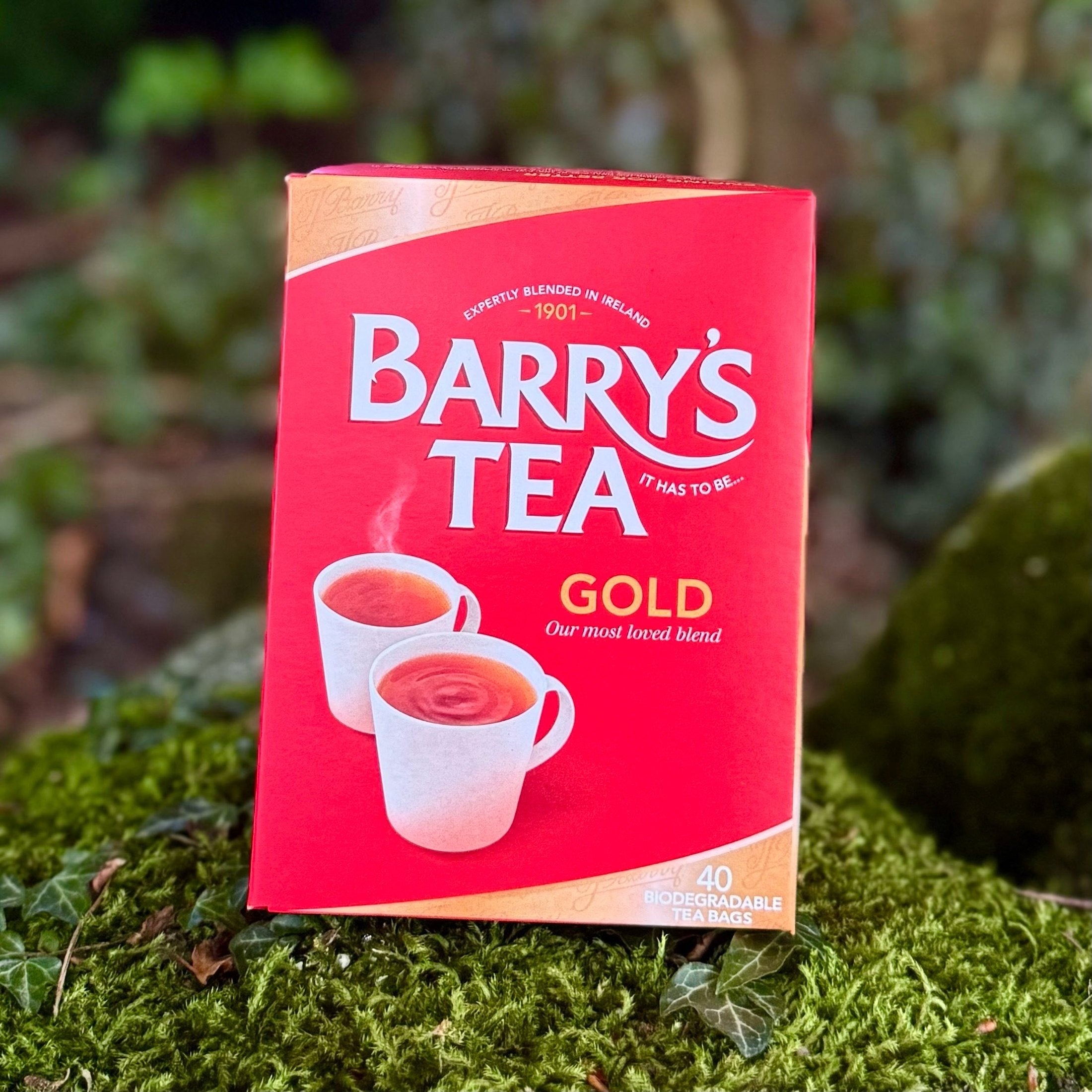 Barry Tea Barrys Tea 40 Pack