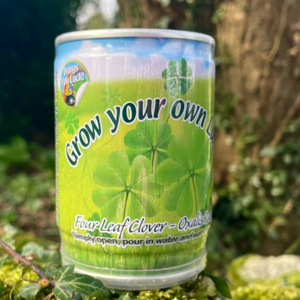 Shamrock Blossom Kit