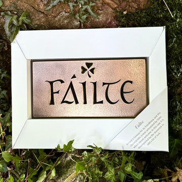 Wild Goose "Fáilte" (Welcome) Bronze Wall Plaque