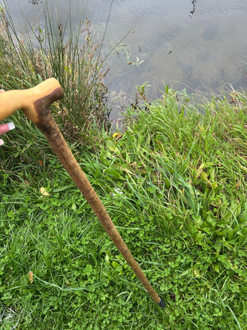 Irish Shillelagh - Blackthorn Wood