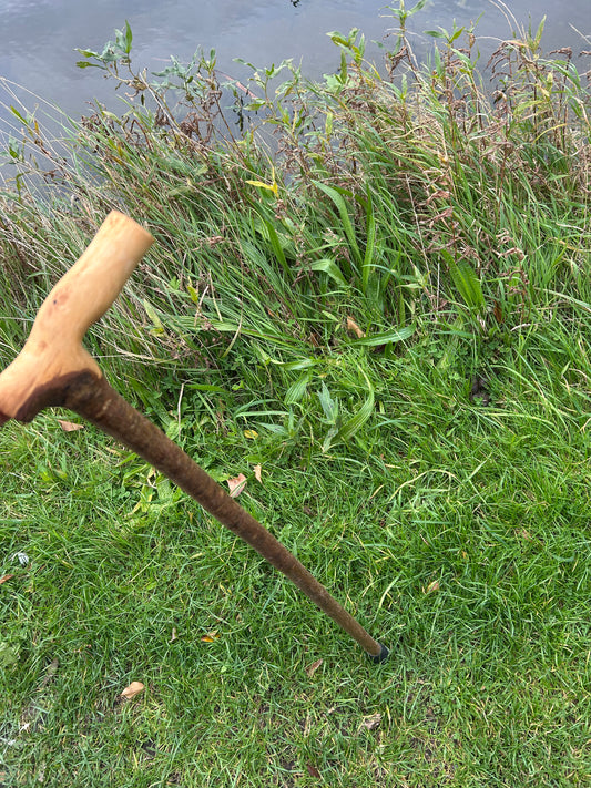 Irish Shillelagh - Blackthorn Wood