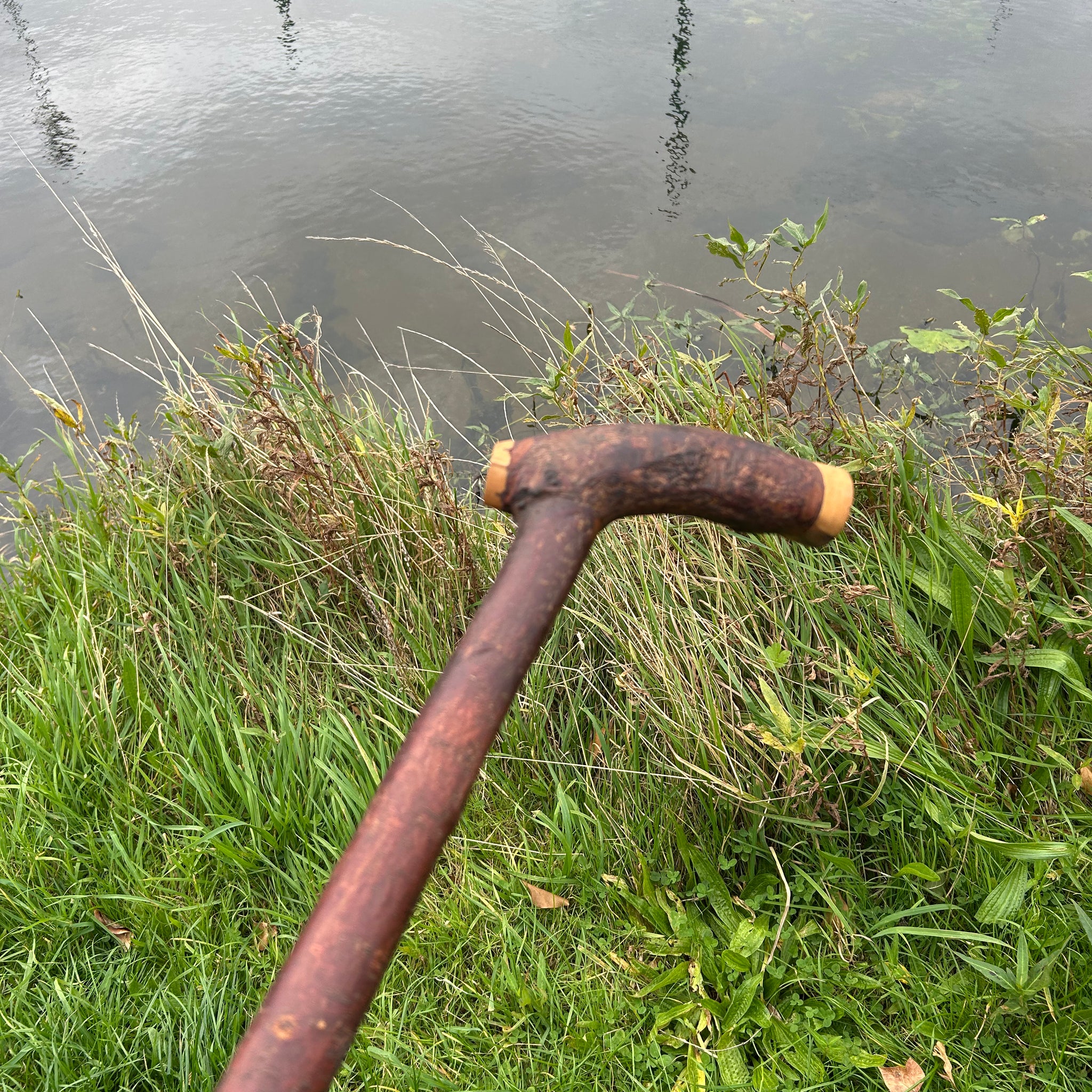 Irish Shillelagh - Blackthorn Wood