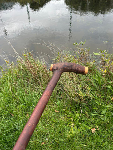 Irish Shillelagh - Blackthorn Wood