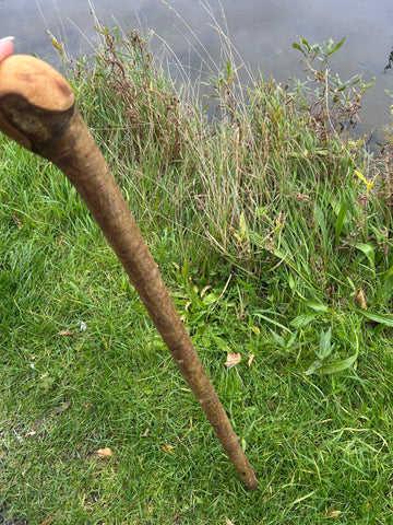 Irish Shillelagh - Blackthorn Wood