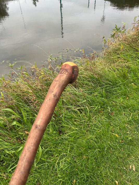Irish Shillelagh - Blackthorn Wood