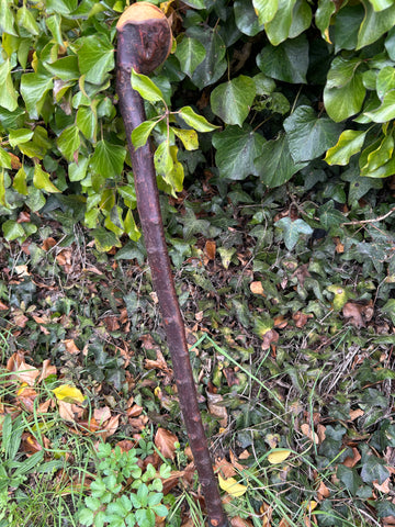 Irish Shillelagh - Blackthorn Wood