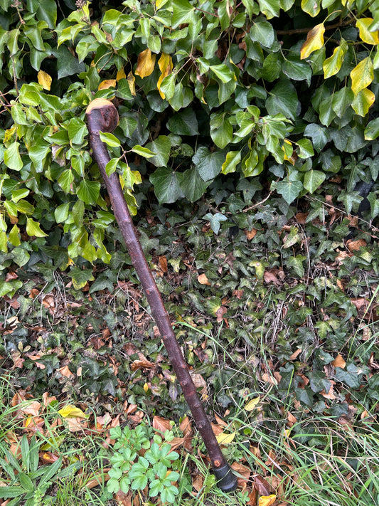 Irish Shillelagh - Blackthorn Wood