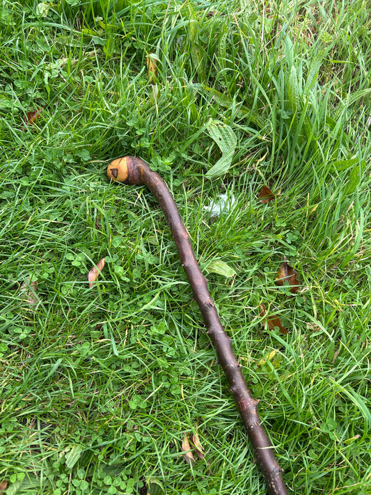 Irish Shillelagh - Blackthorn Wood