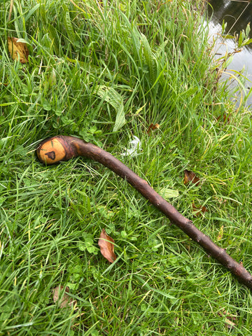 Irish Shillelagh - Blackthorn Wood