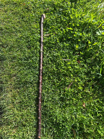 Irish Shillelagh - Blackthorn Wood