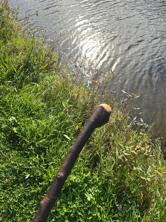 Irish Shillelagh - Blackthorn Wood