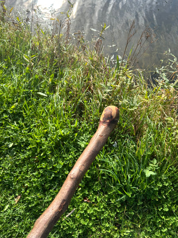 Irish Shillelagh - Blackthorn Wood