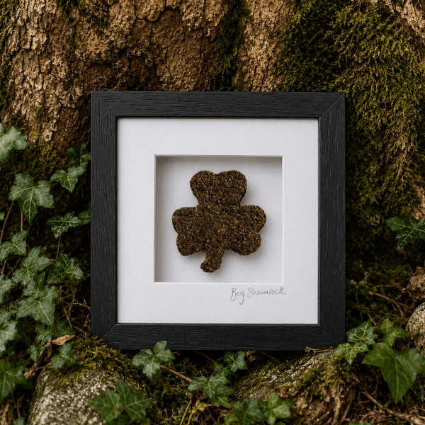 Bog Buddies Bog Shamrock
