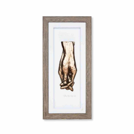 Wild Goose Take This Hand Framed Wall Plaque
