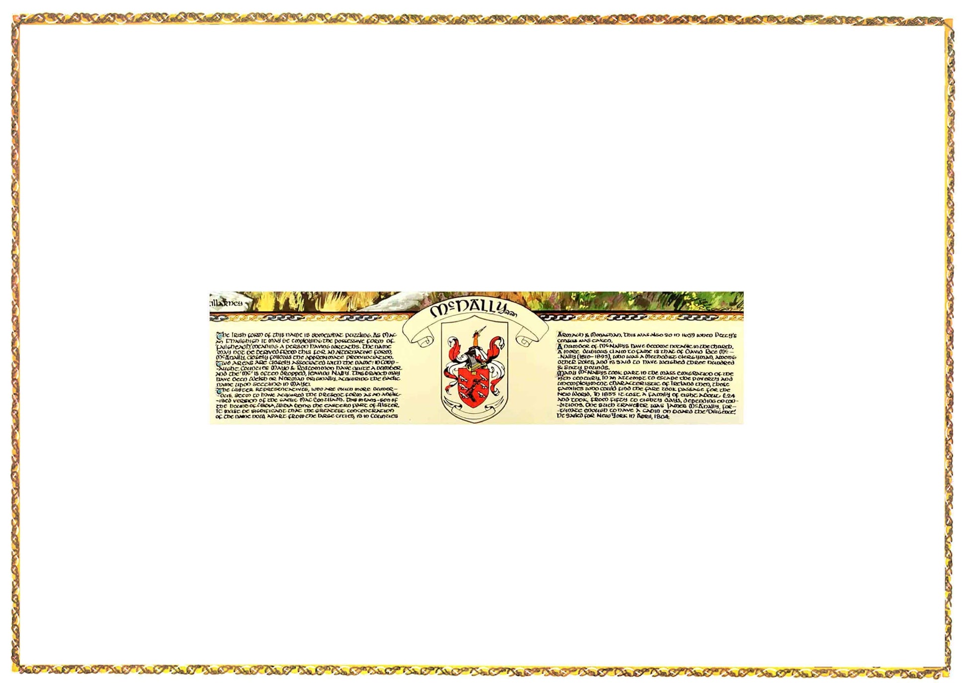 McNally Coat of Arms Parchment