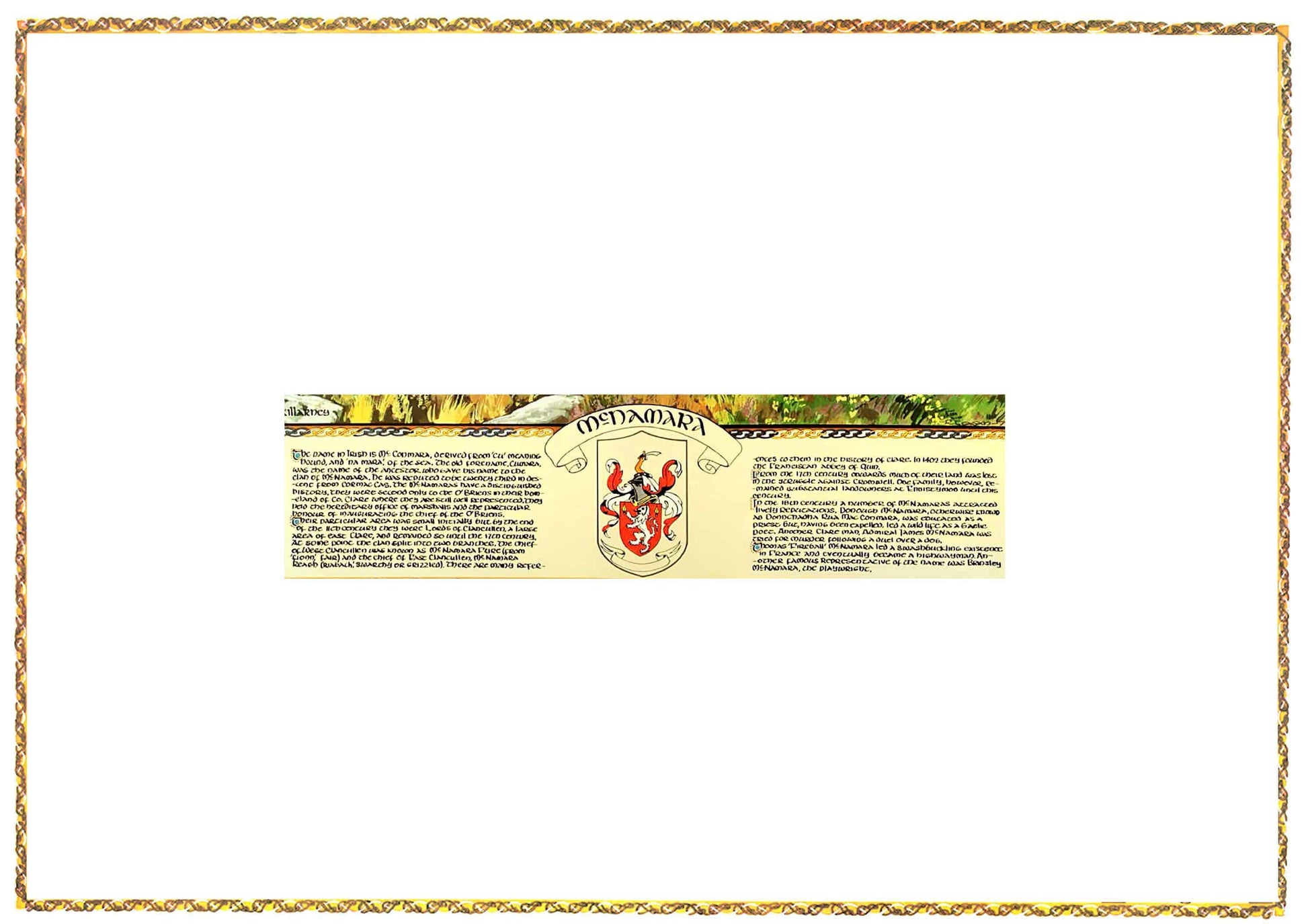 McNamara Coat of Arms Parchment