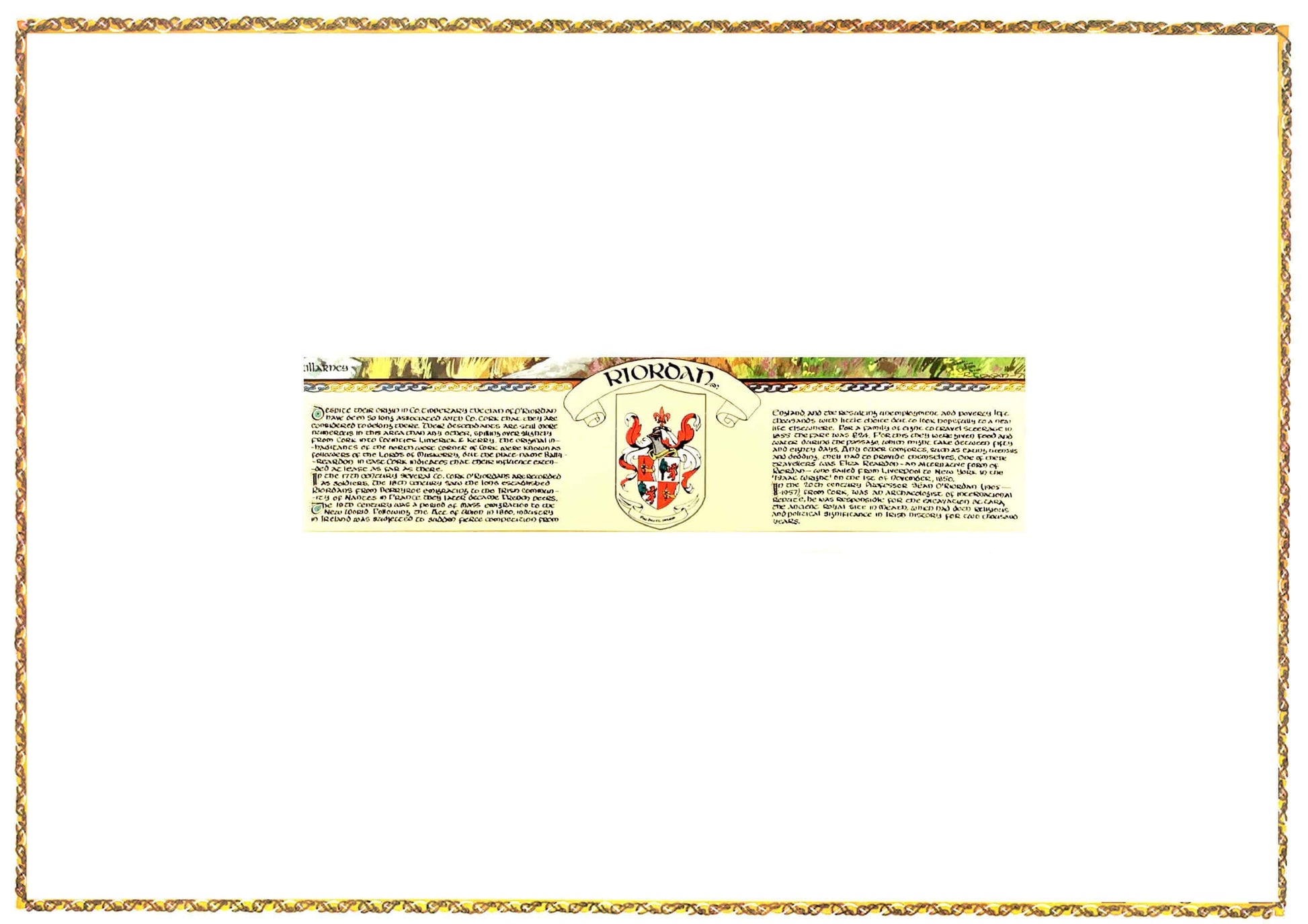 Riordan Coat of Arms Parchment