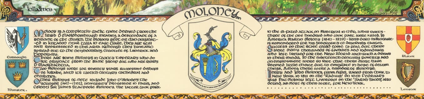 Moloney Family Crest Parchment