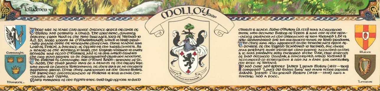 Molloy Family Crest Parchment
