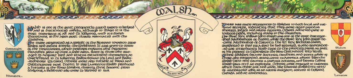 Walsh Family Crest Parchment
