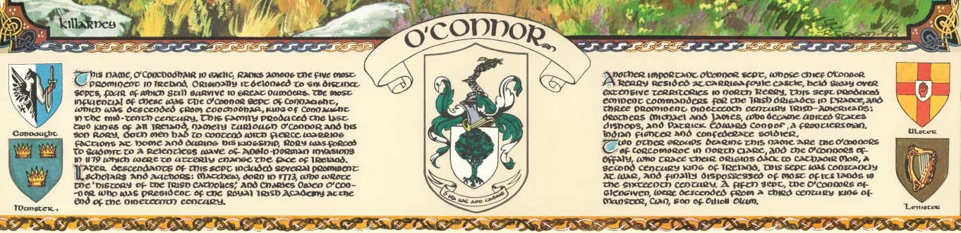 O'Connor Family Crest Parchment