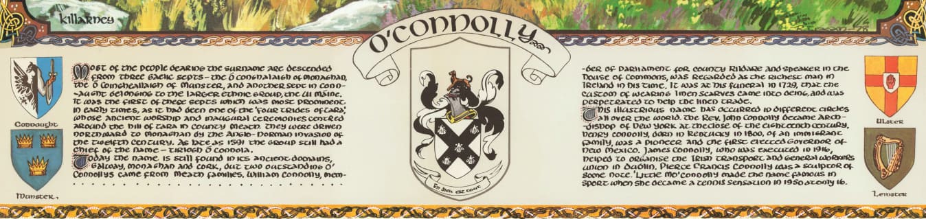 O'Connolly Family Crest Parchment
